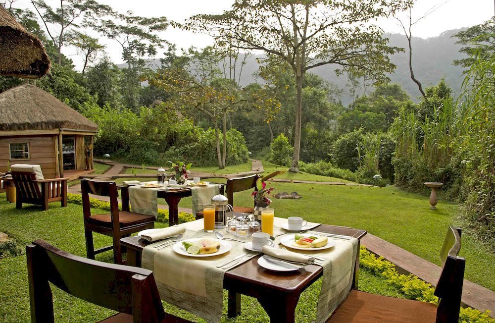Hôtel Sanctuary Gorilla Forest Camp à Ntungamo  Extérieur photo