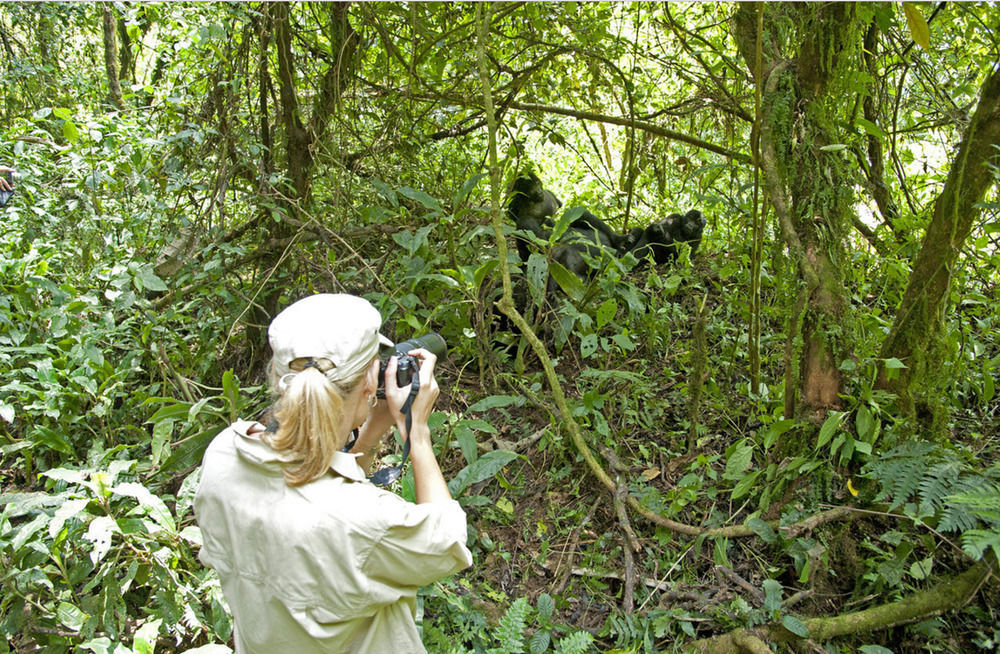 Hôtel Sanctuary Gorilla Forest Camp à Ntungamo  Extérieur photo